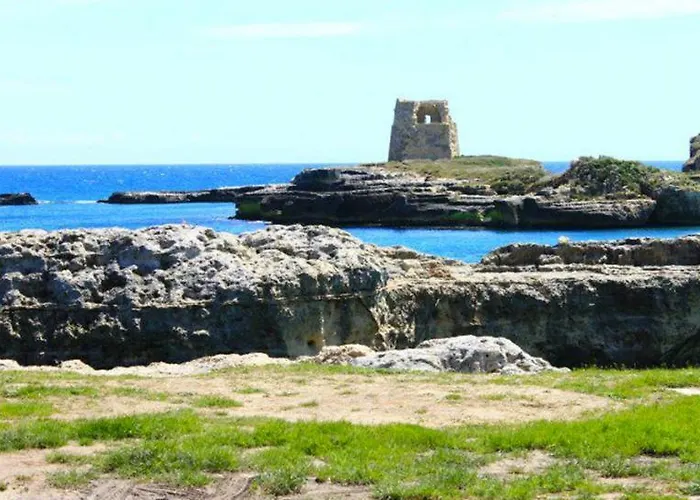 Lu Cuccuviu A Mare 3*