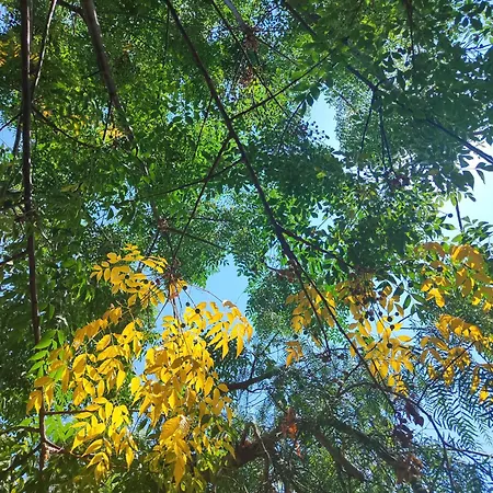 Bed and Breakfast Lu Cuccuviu A Mare