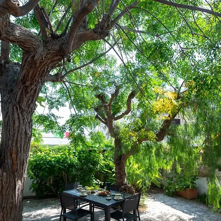 Lu Cuccuviu A Mare Bed and Breakfast