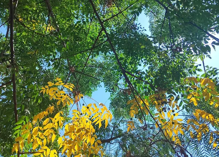 Bed & Breakfast Lu Cuccuviu A Mare